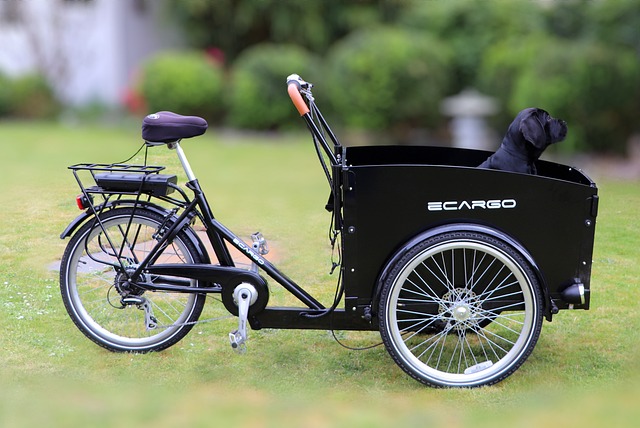 Sådan fungerer en ladcykel med el i praksis